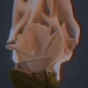 Meet your Posher, Edwin